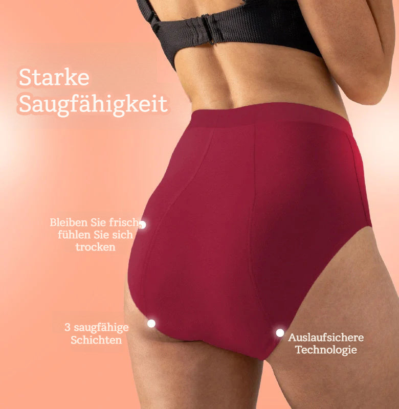 Sanliva Everyday Auslaufsichere Unterwäsche (5er-Pack)